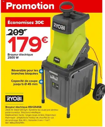 Castorama Broyeur électrique RSH2545B offre