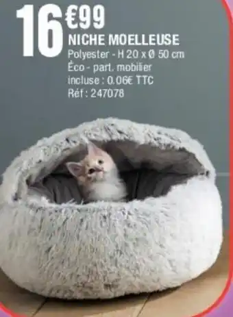 Niche Moelleuse
