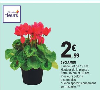 E.Leclerc Cyclamen offre