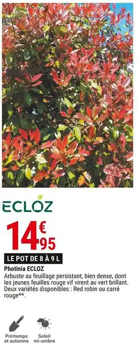 Gamm vert Ecloz photinia offre
