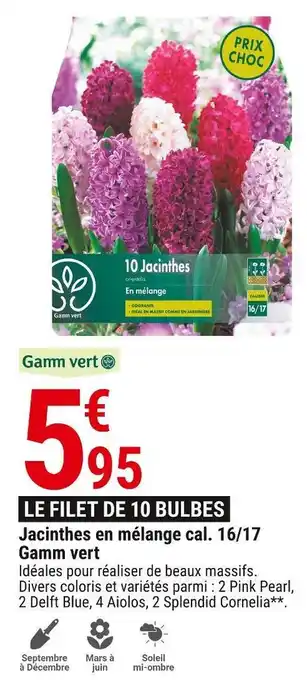 Gamm vert Gamm vert jacinthes en mélange cal. 16/17 offre