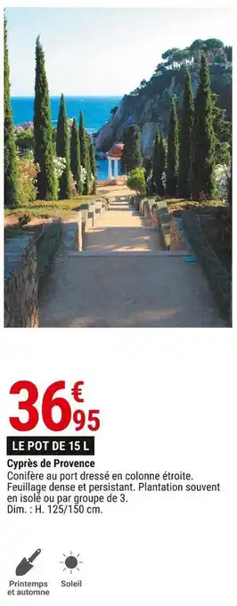 Gamm vert Cyprès de provence offre