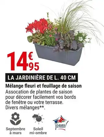 Gamm vert Mélange fleuri et feuillage de saison offre