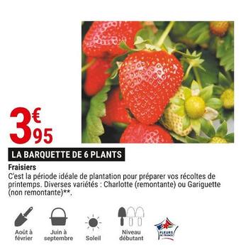 Gamm vert Fraisiers offre