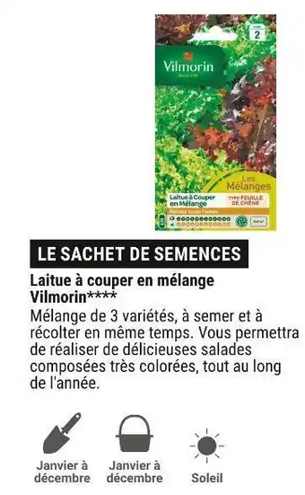 Gamm vert Vilmorin laitue à couper en mélange offre