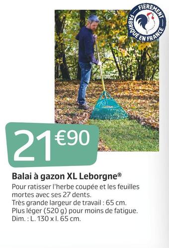 Jardiland Balai à gazon xl leborgne offre