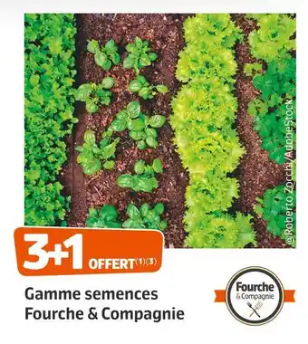 Fourche & compagnie bon plan sur la gamme semences fourche & compagnie