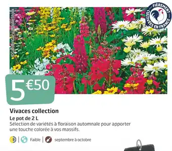 Jardiland Vivaces collection offre