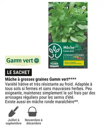 Gamm vert Gamm vert mâche à grosses graines offre