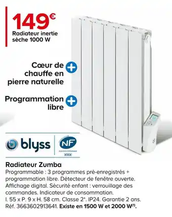 Castorama Blyss radiateur zumba offre