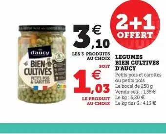 Super U Légumes bien cultivés d'aucy offre