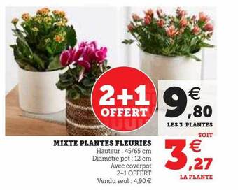 Super U Mixte plantes fleuries offre