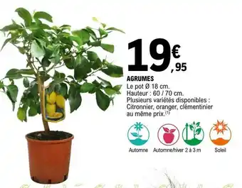 E.Leclerc Agrumes offre