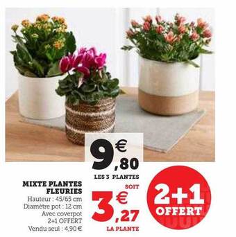 Hyper U Mixte plantes fleuries offre