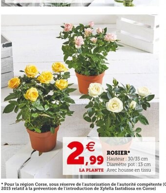 Super U Rosier offre