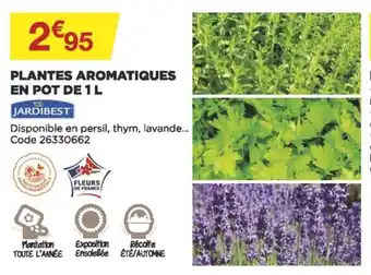 Bricomarché Plantes Aromatiques En Pot de 1L offre