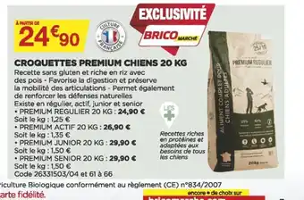 Croquettes Premium Chien 20kg