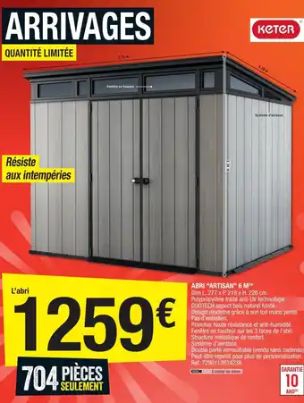 Brico Dépôt Abri Artisan 6m offre