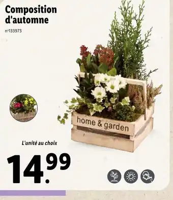 Lidl Composition d'Automne offre