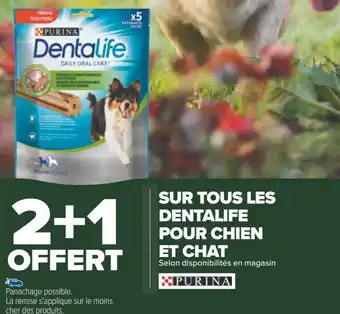 Carrefour Purina bon plan sur tous les dentalife pour chien et chat offre
