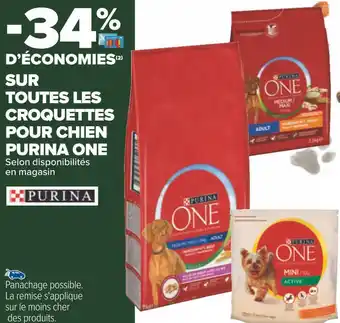 Carrefour V bon plan sur toutes les croquettes pour chien purina one offre