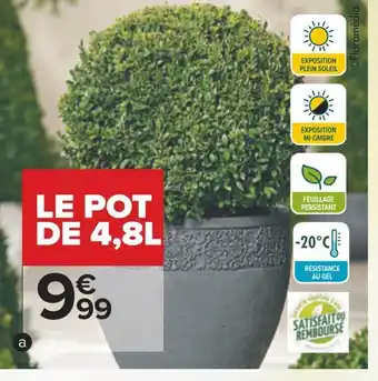 Carrefour Buis boule offre