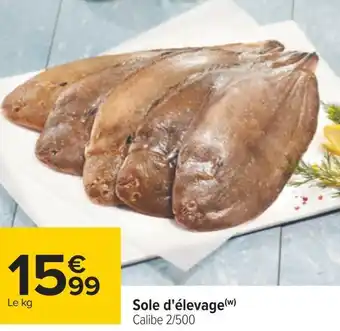 Carrefour Sole d'élevage offre