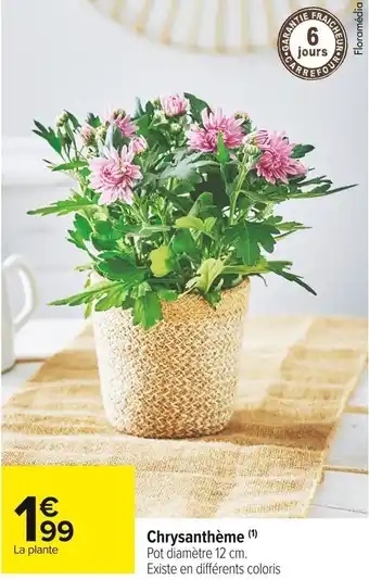 Carrefour Market Chrysanthème offre