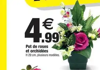 Bazarland Pot de roses et orchidées offre