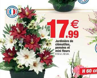 Bazarland Jardinière de clématites, pensées et mini fleurs offre