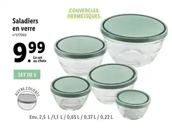 Saladiers en verre