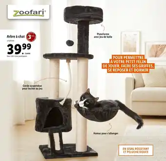 Lidl Arbre A Chat offre