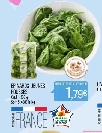 Epinards jeunes Pousses