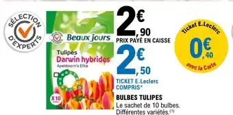 E.Leclerc Bulbes Tulipes offre