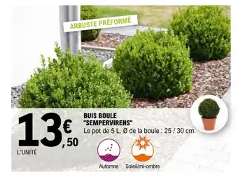 E.Leclerc Buis boule "sempervirens" offre