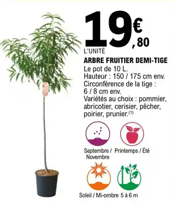 Arbre fruitier demi-tige
