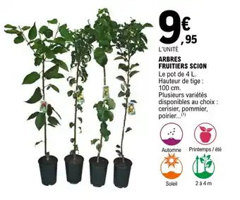 E.Leclerc Arbres fruitiers scion offre