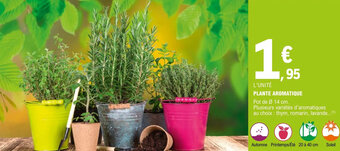 E.Leclerc Plante aromatique offre
