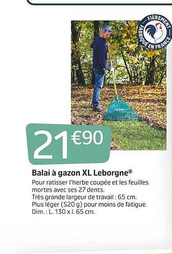 Jardiland Balai à gazon xl leborgne offre