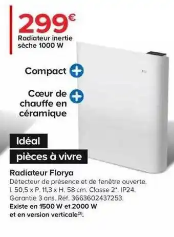 Castorama Radiateur inertie sèche 1000w florya offre