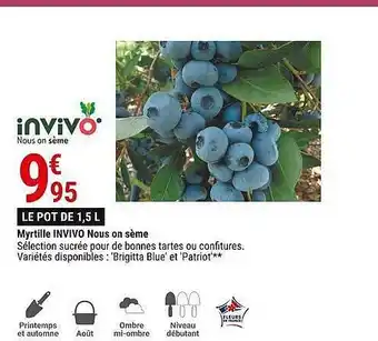 Gamm vert Myrtille invivo nous on sème offre