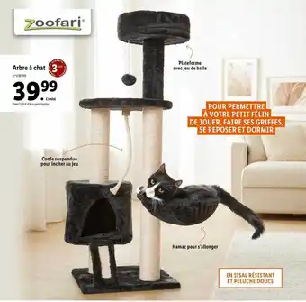 Lidl Arbre à chat zoofari offre
