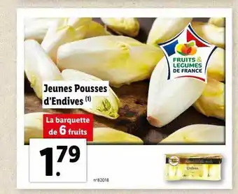 Lidl Jeunes pousses d'endives offre