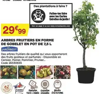 Bricomarché Arbres fruitiers en forme de gobelet en pot de 7,5l jardibest offre