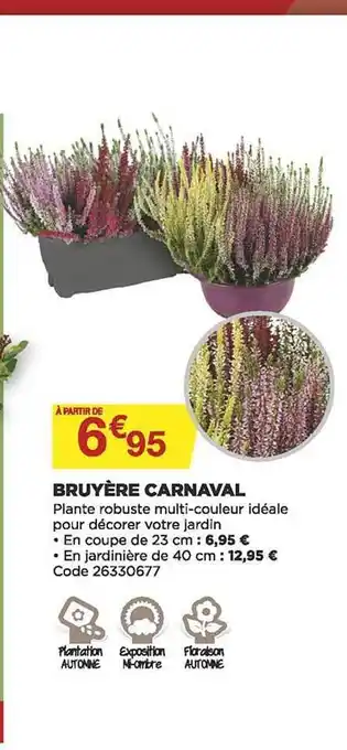 Bruyère carnaval