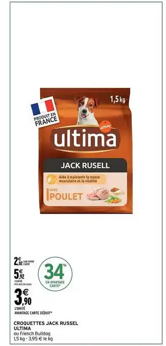 Croquettes jack russel ultima