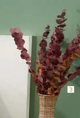 Géant Casino Bouquet de fleurs séchées offre