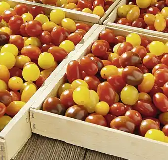 Casino Supermarchés Tomate Méli - Mélo offre