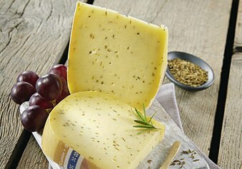 Gouda Jeune au Cumin Royal Hollandia