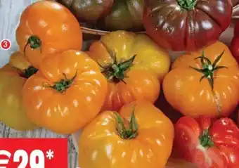 Cora x Carrefour Tomate côtelées de plein terre variété Ananas offre